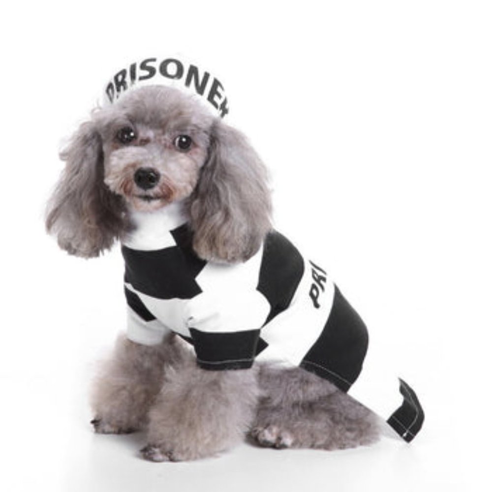Pet Dog Pooch Prison Coat Hat Suit Clothes Dress Set Halloween Cosplay - Small - Picture 8 of 10